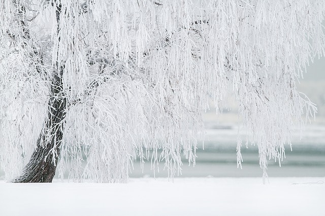 Diät vor dem Winter?
